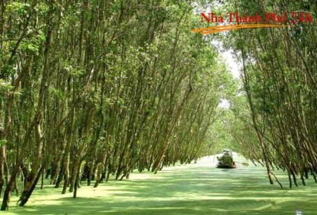 Đại lý bất động sản Hậu Giang: Thu nhập, đào tạo, cơ hội giàu có