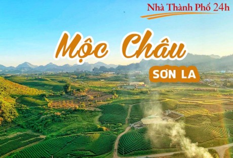 Tuyển đại lý bất động sản Sơn La, cơ hội mới cho bạn khởi nghiệp