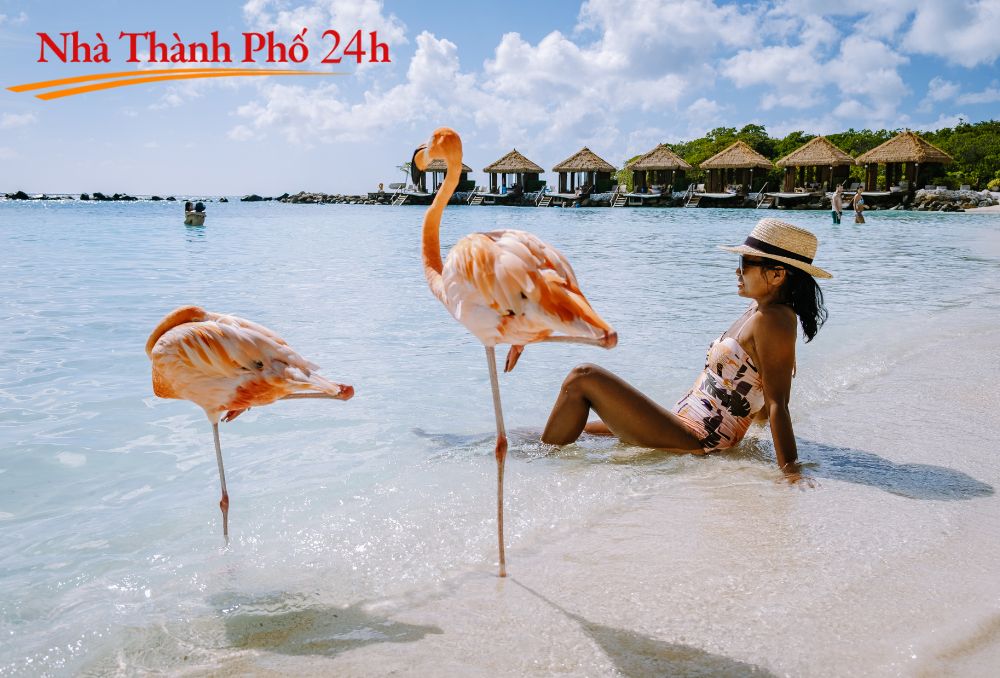 Giới thiệu về Aruba (1)